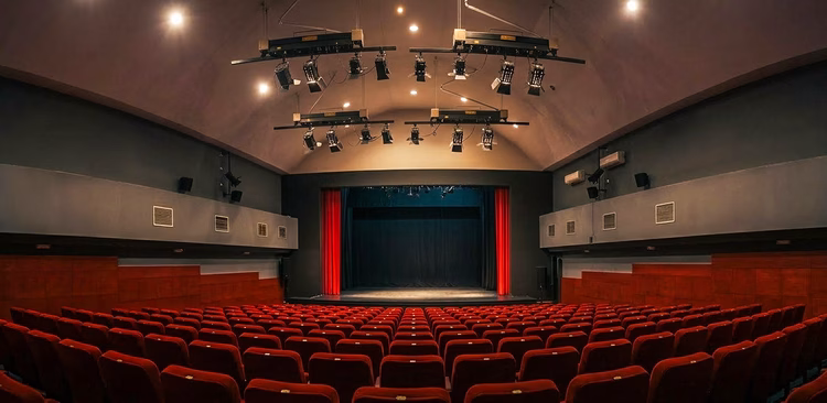 Foto: Centar za kulturu Svilajnac