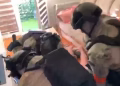 Foto: printskrin MUP video