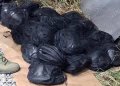 Foto: MUP Srbije
