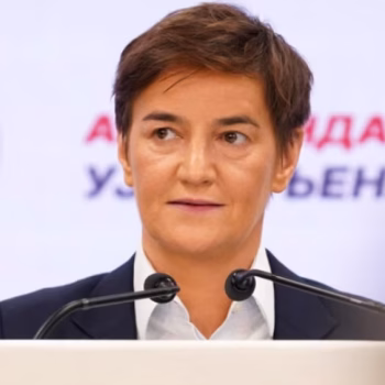 cropped-brnabic-e.avif