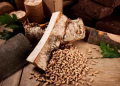 Foto: Tanjug/Shutterstock.com/stockcreations, ilustracija
