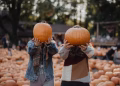 Foto: Unsplash
