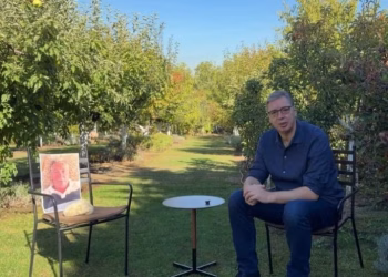 Foto: IG avucic