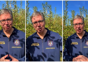 Foto: Printscreen IF avucic